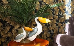 The Golden Pelican